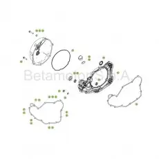 Beta RR350 Racing 17 Motorgehäuse 2 Sichere Zahlung