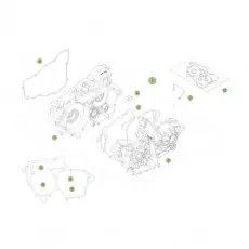 Beta RR250 Racing 17 Motorgehäuse 1 Sonderangebot