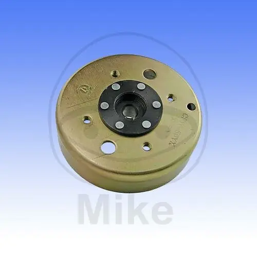 Versand Am Gleichen Tag Rotor de la rueda de los polos del alternador conexión 2PIN QMB 139 para diverse Modelle