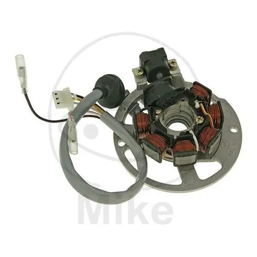Neu Im Sortiment Lichtmaschine Anker Stator Generator NARAKU für Aprilia Italjet Malaguti MBK Rex Yamaha