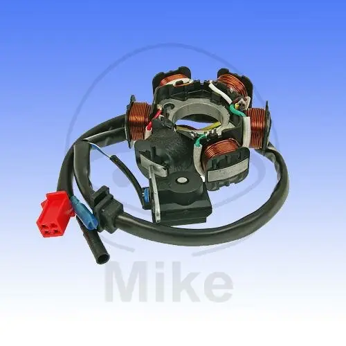 Kostenloser Versand Alternator Armature Stator Generator 6 Coils for AGM Aiyumo Benzhou Flex Tech Jonway