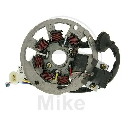 Preis Gesenkt Alternateur Induit Stator Alternateur pour AGM Generic Keeway Longjia MZ/MUZ Peugeot