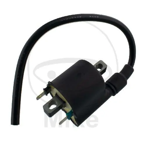 Kostenfreie Lieferung Bobine d'allumage originale pour Kawasaki KLX 125 # 2010-2016