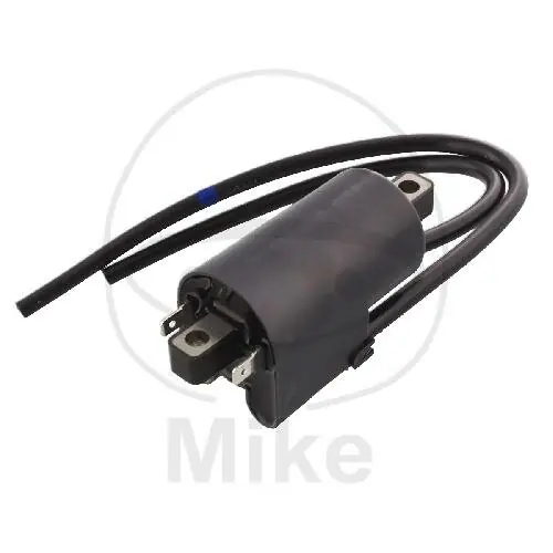 Bobina d'accensione originale per Suzuki GSF 650 Bandit 2005-2006 # GSF 1200 Bandit 2006 Meistverkauft