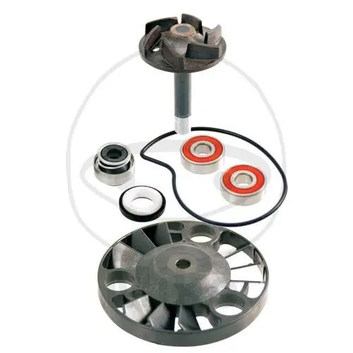 Wasserpumpe Reparatursatz für Gilera 125 180 Piaggio 125 180 200 Vespa 200 Finale Aktion
