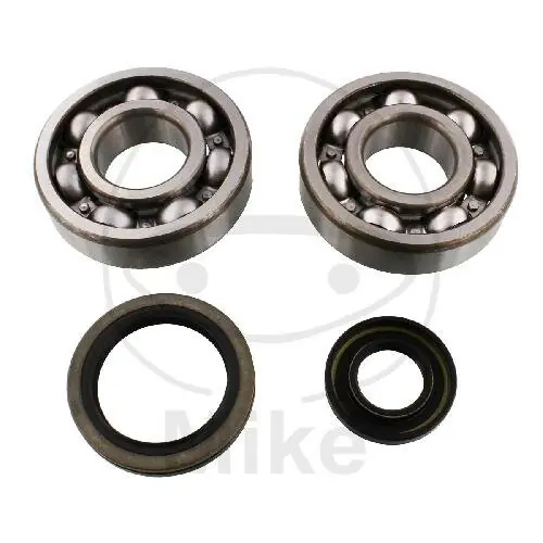 Direkt Vom Hersteller Set di cuscinetti dell'albero a gomiti per Suzuki RM 250 # 1994-1995