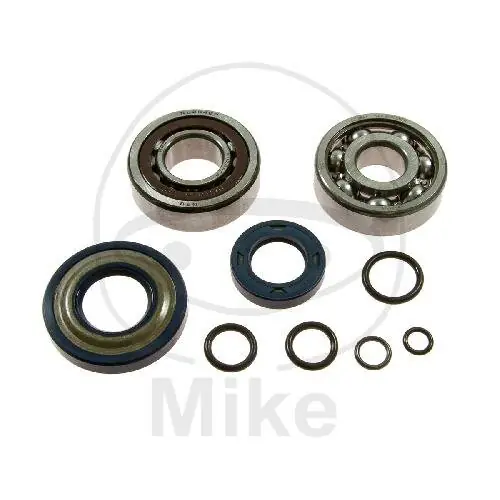 Neue Kollektion Kurbelwellenlagersatz für Vespa ET3 125 Primavera 125