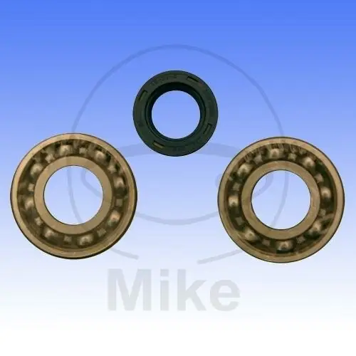 Set di cuscinetti dell'albero a gomiti per Piaggio Boxer 50 Vespa Grillo 25 Kracherpreis