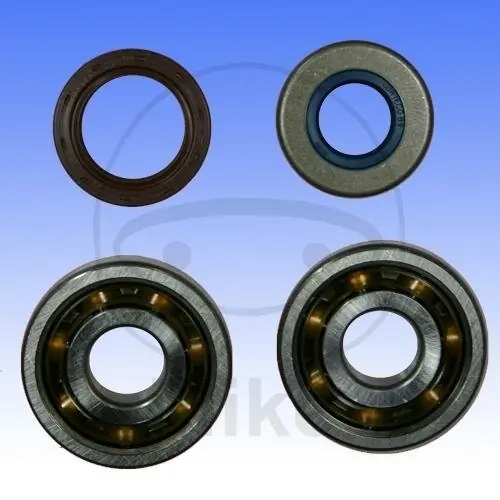 Markenprodukt Kurbelwellenlagersatz für Aprilia MX 50 Malaguti XSM 50 Motard Rieju MRX 50